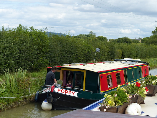 P1070202 (08-06-2017 14:01)