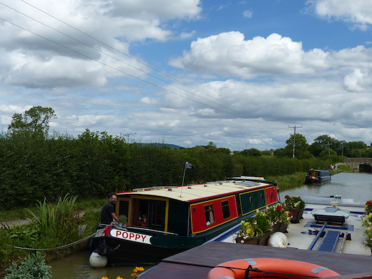 P1070203 (08-06-2017 14:01)