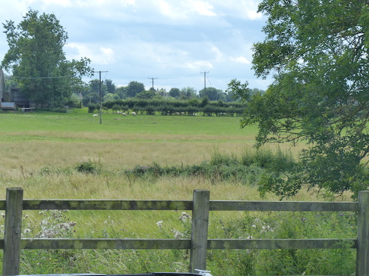 P1070219 (08-06-2017 14:11)