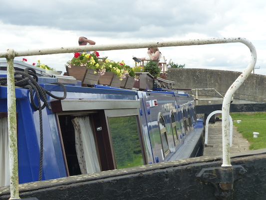 P1070220 (08-06-2017 14:13)