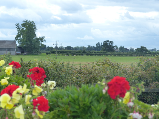 P1070221 (08-06-2017 14:15)