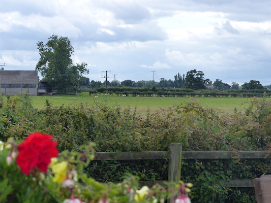 P1070222 (08-06-2017 14:15)