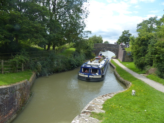 P1070239 (08-06-2017 14:39)