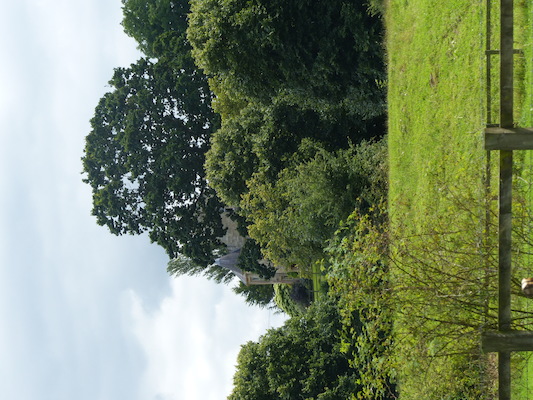 P1070245 (08-06-2017 14:42)