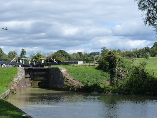 P1070246 (08-06-2017 14:48)