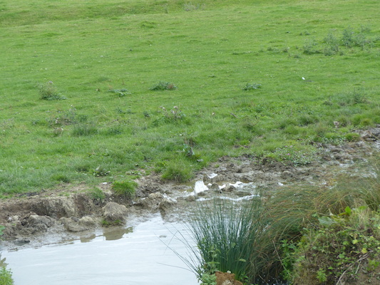 P1070252 (08-06-2017 15:22)