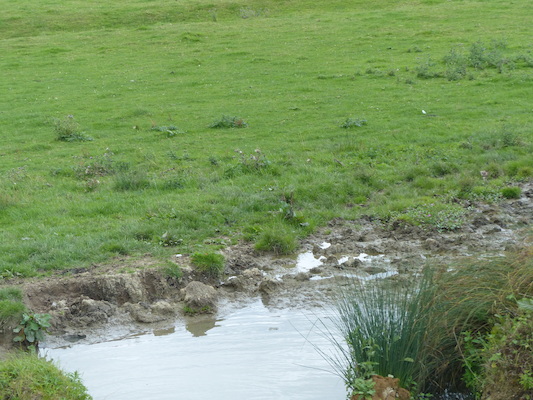 P1070253 (08-06-2017 15:22)