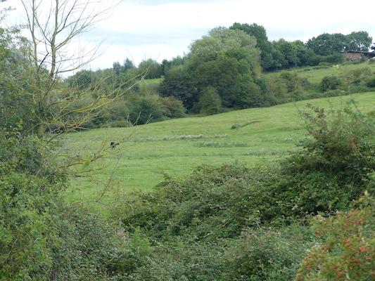 P1070254 (08-06-2017 15:22)