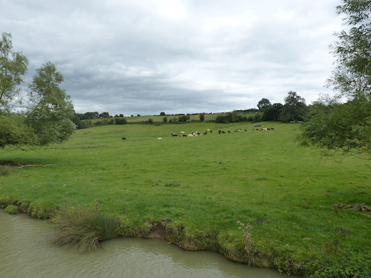 P1070256 (08-06-2017 15:24)