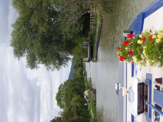 P1070259 (08-06-2017 15:25)