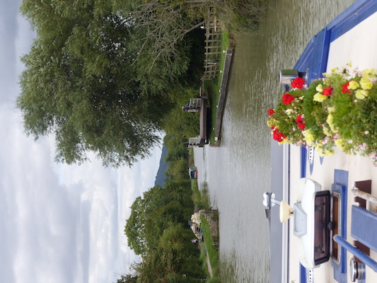 P1070260 (08-06-2017 15:25)