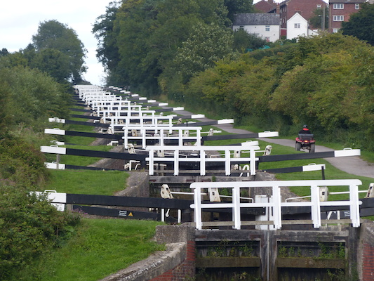 P1070283 (08-06-2017 18:47)