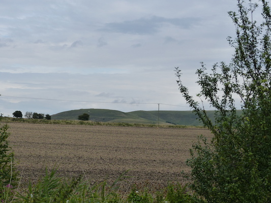 P1070304 (08-08-2017 15:34)