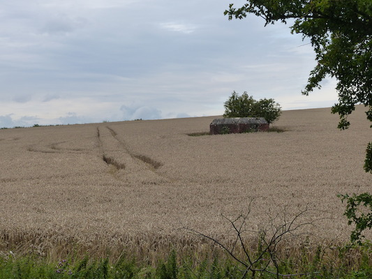 P1070310 (08-08-2017 15:49)