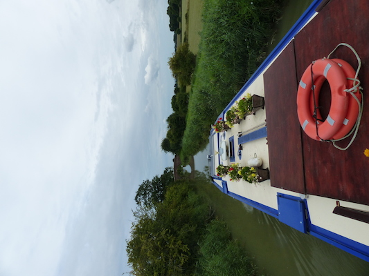 P1070312 (08-08-2017 15:50)