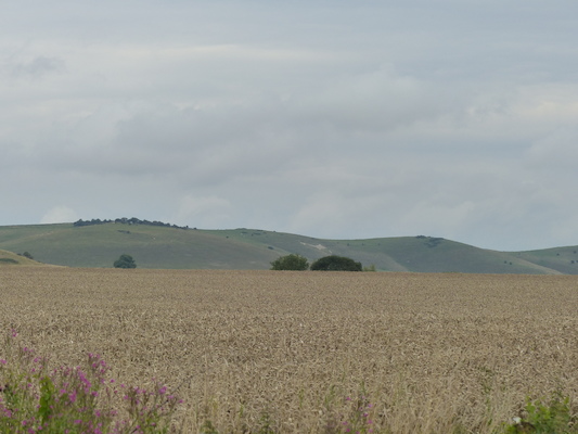 P1070313 (08-08-2017 15:54)