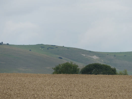 P1070314 (08-08-2017 15:54)