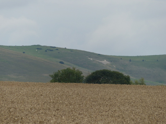 P1070315 (08-08-2017 15:54)