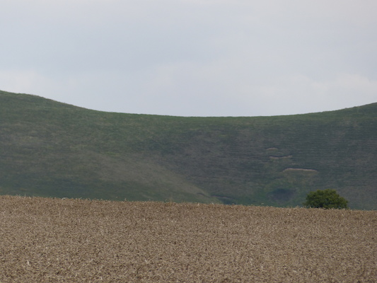 P1070318 (08-08-2017 15:56)