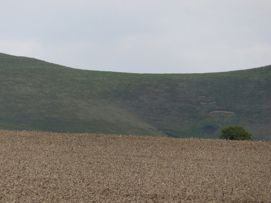 P1070319 (08-08-2017 15:56)