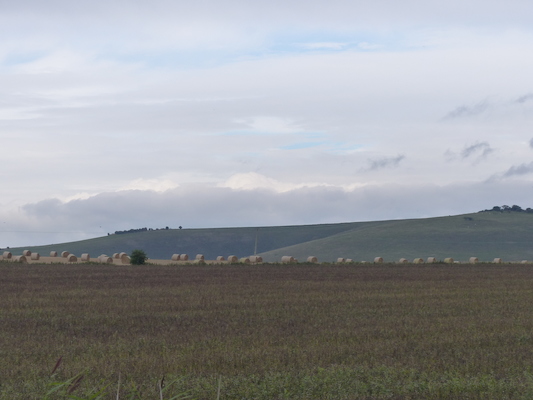 P1070331 (08-08-2017 16:51)