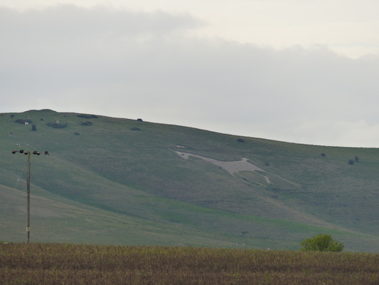 P1070332 (08-08-2017 16:51)