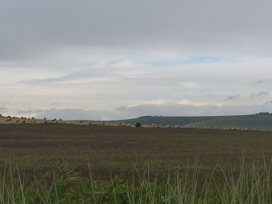 P1070333 (08-08-2017 16:51)