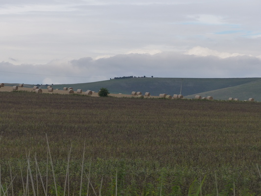 P1070334 (08-08-2017 16:51)