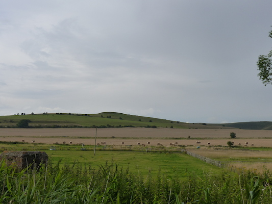 P1070339 (08-08-2017 17:19)