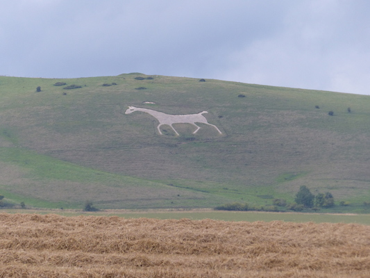 P1070341 (08-08-2017 17:56)