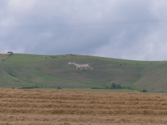 P1070342 (08-08-2017 17:56)