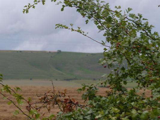 P1070344 (08-08-2017 17:58)