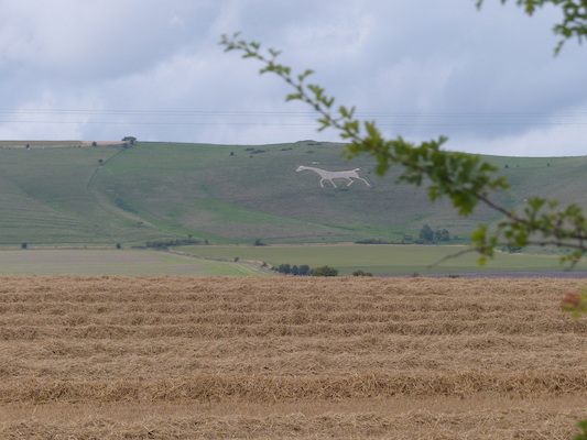 P1070345 (08-08-2017 17:58)