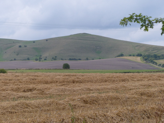 P1070347 (08-08-2017 17:59)