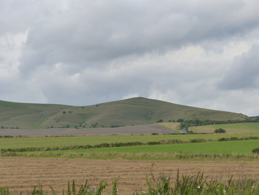 P1070352 (08-08-2017 18:08)