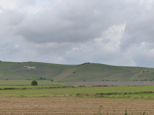 P1070353 (08-08-2017 18:08)