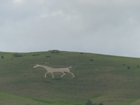 P1070354 (08-08-2017 18:08)