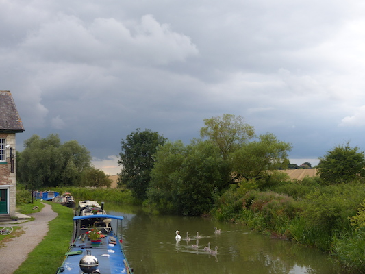 P1070360 (08-08-2017 18:39)