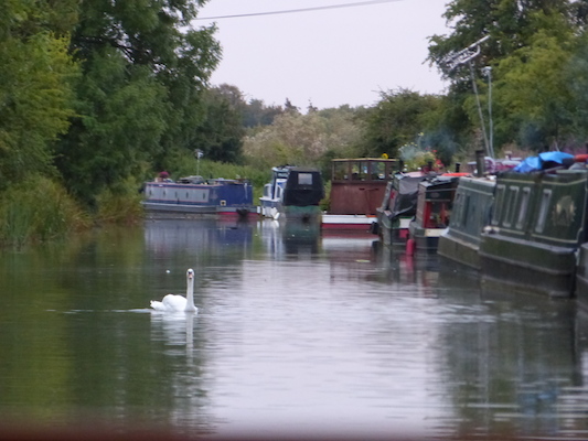 P1070368 (08-09-2017 20:27)