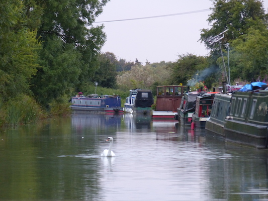 P1070369 (08-09-2017 20:27)