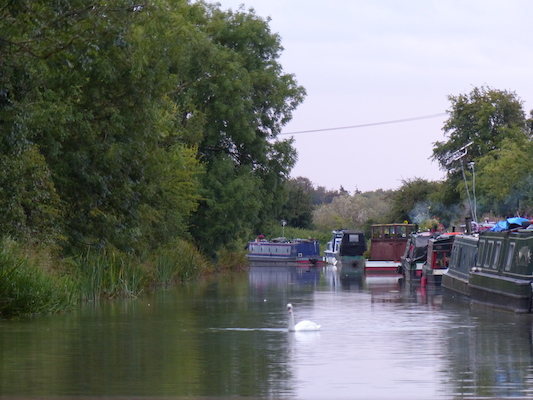 P1070370 (08-09-2017 20:27)