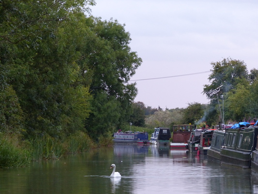 P1070371 (08-09-2017 20:28)