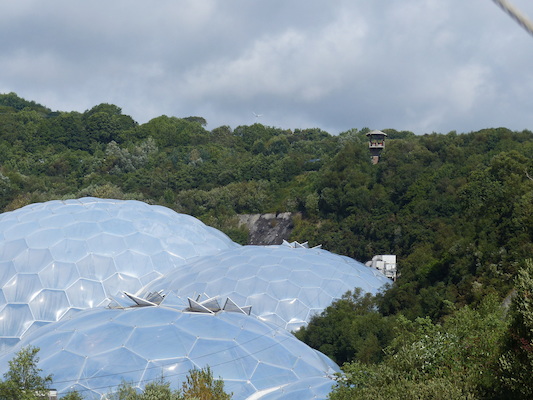 P1070374 (08-14-2017 10:26)