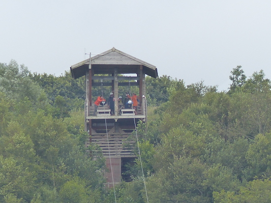 P1070388 (08-14-2017 11:07)