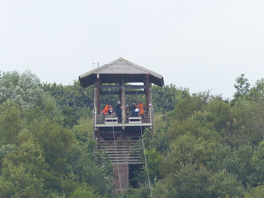 P1070389 (08-14-2017 11:07)