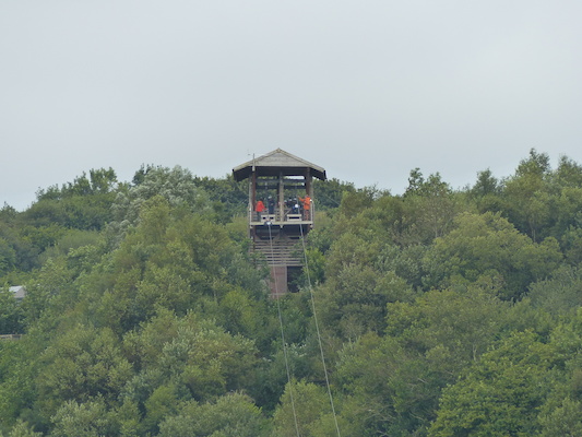 P1070391 (08-14-2017 11:08)