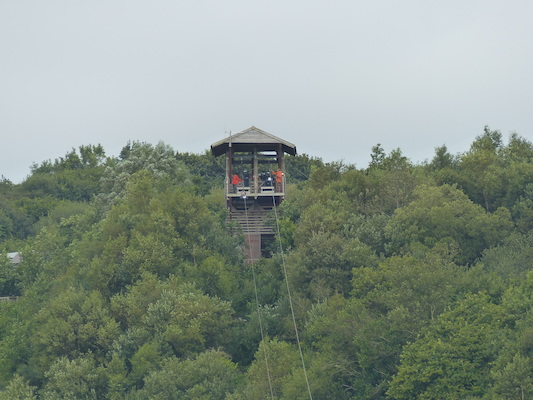 P1070392 (08-14-2017 11:08)