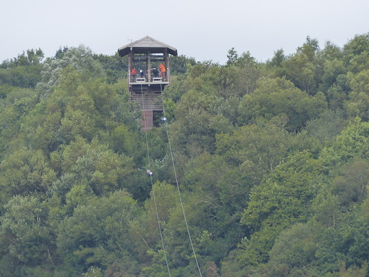 P1070393 (08-14-2017 11:08)