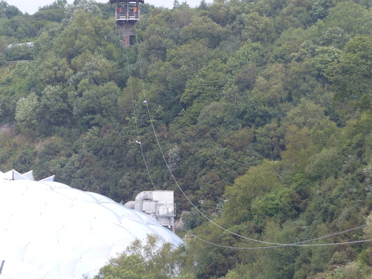 P1070395 (08-14-2017 11:08)