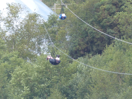 P1070401 (08-14-2017 11:08)